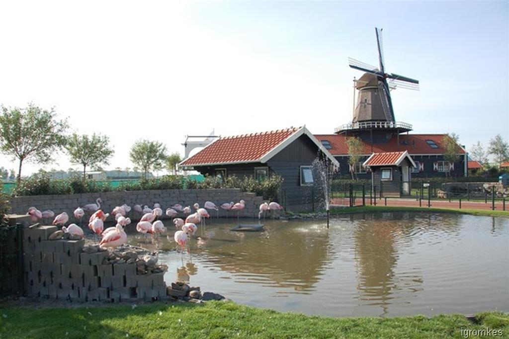 Vila Zonnig Zuid Dirkshorn Pokoj fotografie