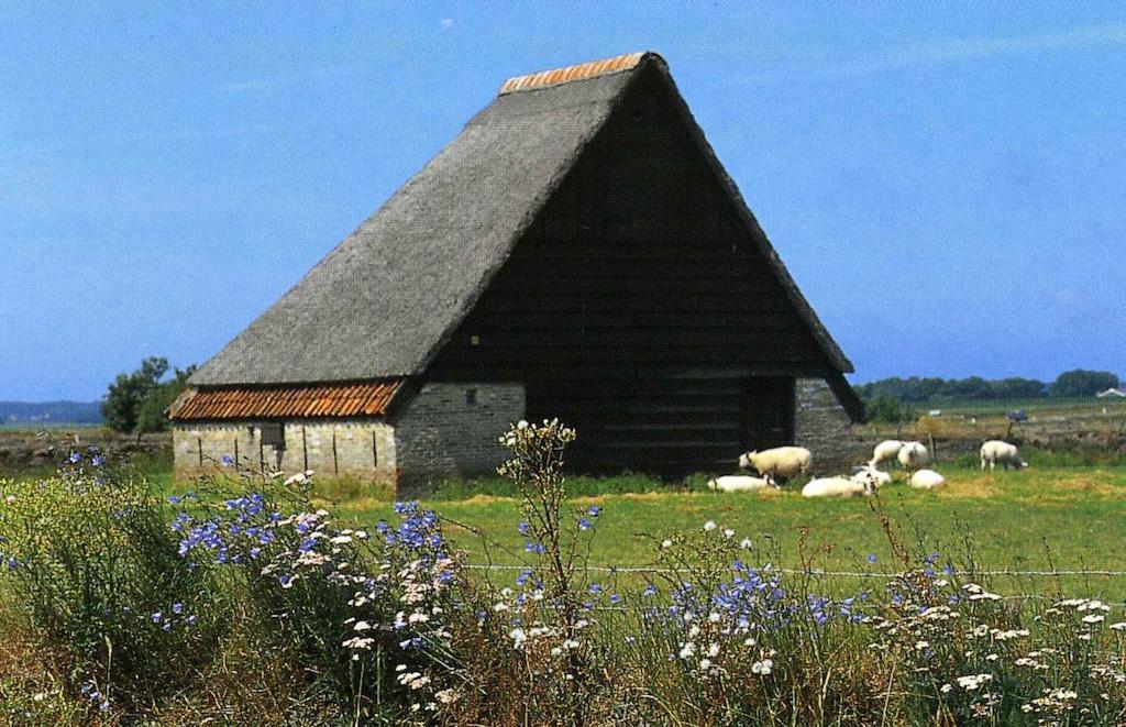 Vila Zonnig Zuid Dirkshorn Pokoj fotografie